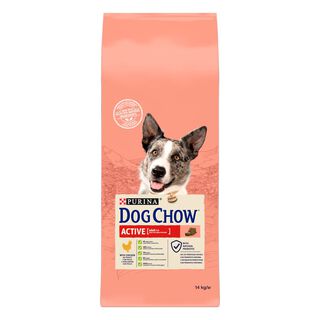 Dog Chow Active Pollo pienso para perros